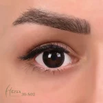 لنز رنگی فصلی هرا 500 ساعته، شماره 30 کد S02 دور دار و رگه دار طوسی تیره