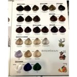 رنگ مو آلفرد با امونیاک کمlow amonia - تصویر 4