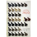 رنگ موی پیگو Pigo - تصویر 2
