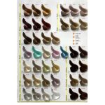 رنگ موی پیگو Pigo - تصویر 4