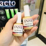 پرایمر ژل آنیسا