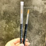 قلم کاشت پودر آنیسا شماره 10